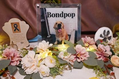 Bondpop private high-end customization - Pet scenic funeral package - suitable for cats, dogs and exotic pets.